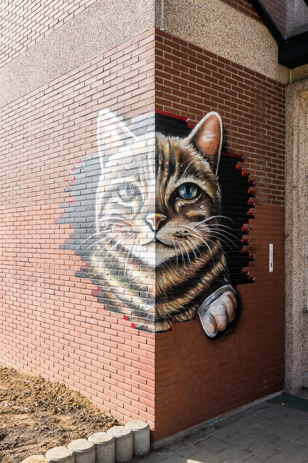 muurschildering van een kat. muurschildering van een kat.